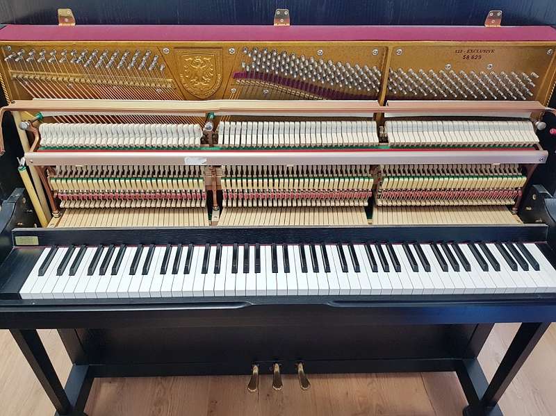 Rieger & Kloss Klavier Piano Zifreind
