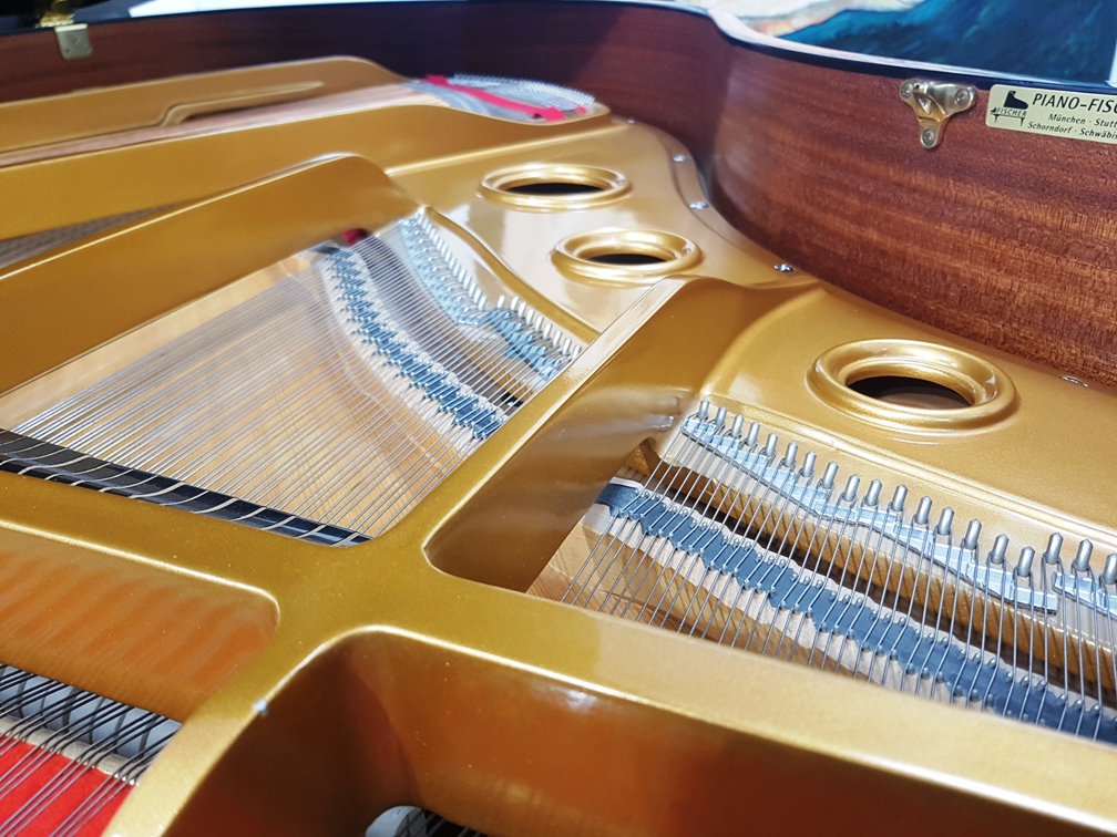 Fischer Flügel by C. Bechstein Berlin