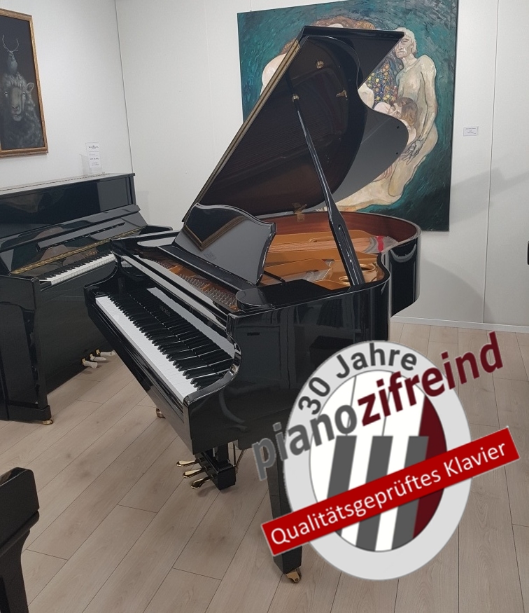 Fischer Flügel by C. Bechstein Berlin
