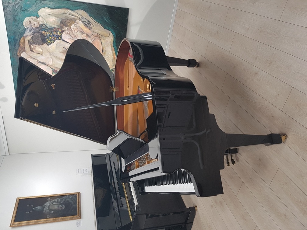 Fischer Flügel by C. Bechstein Berlin