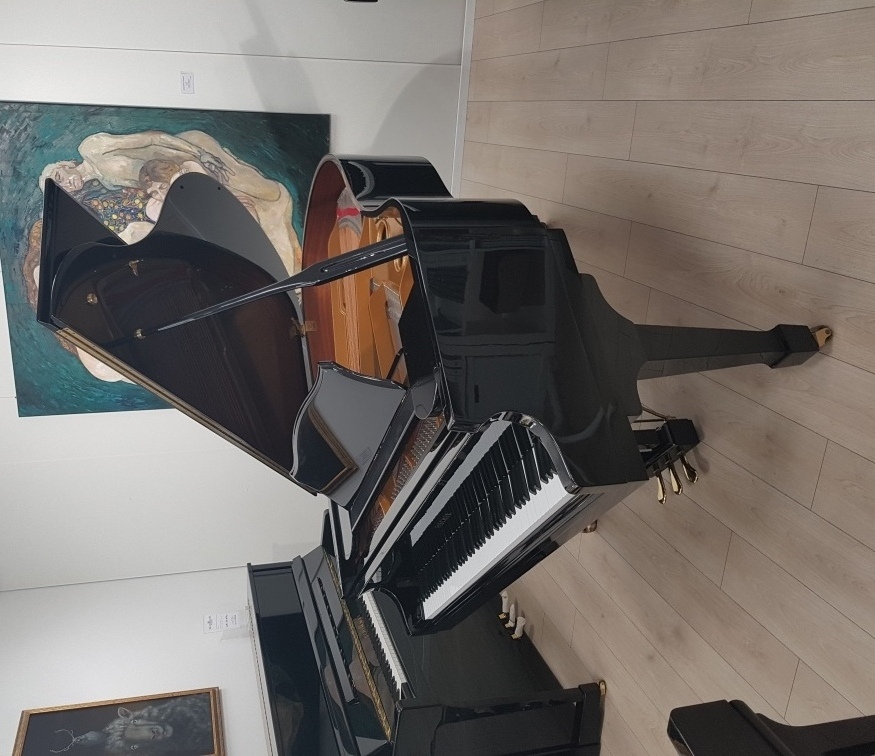 Fischer Flügel by C. Bechstein Berlin