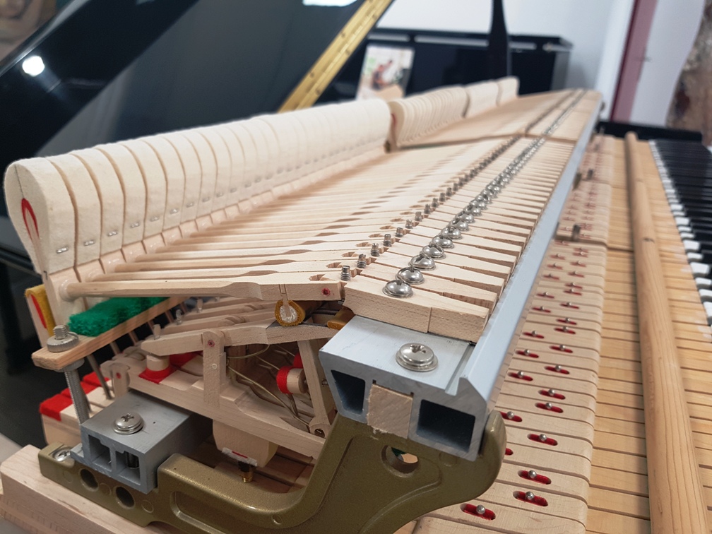 Fischer Flügel by C. Bechstein Berlin