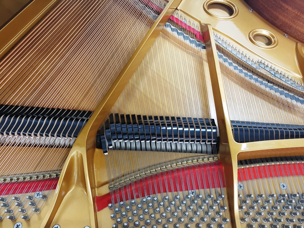 Fischer Flügel by C. Bechstein Berlin