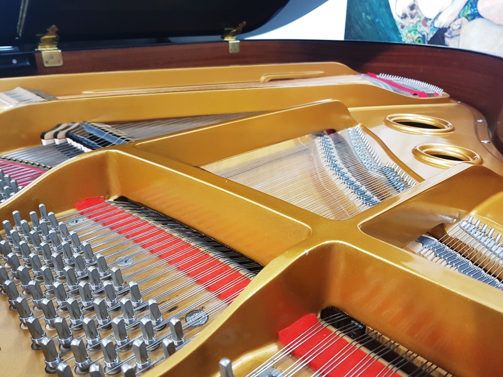 Fischer Flügel by C. Bechstein Berlin