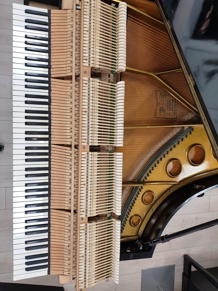 Ehrbar Flügel Piano Zifreind