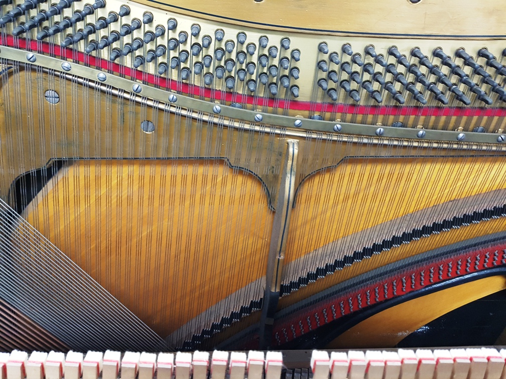 Koch & Korselt Klavier Piano Zifreind