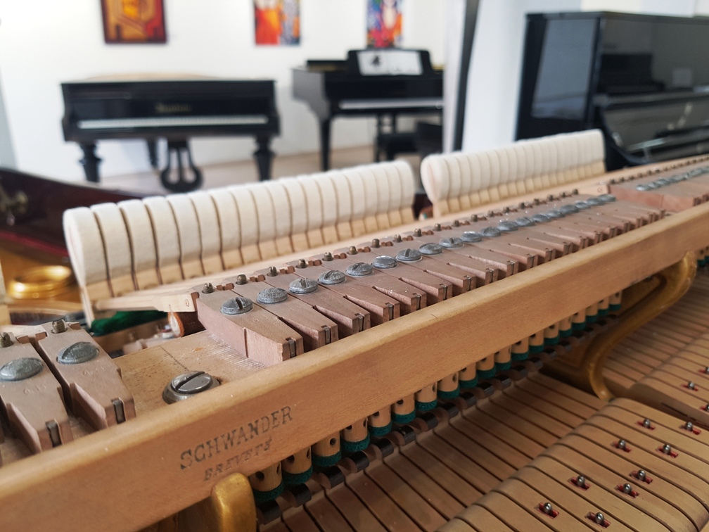 Hofmann Flügel Piano Zifreind