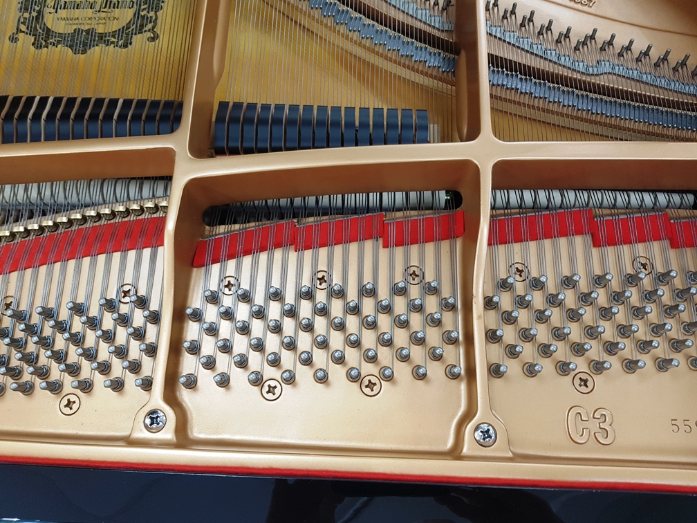 Yamaha C3 Piano Zifreind