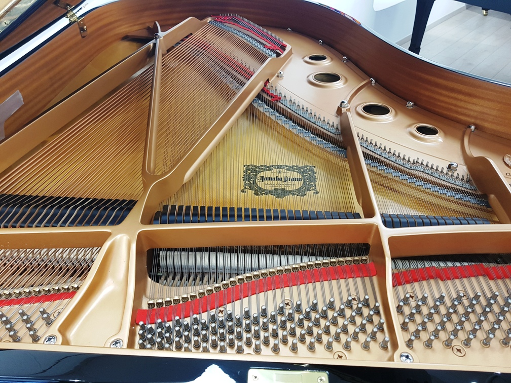 Yamaha C3 Piano Zifreind