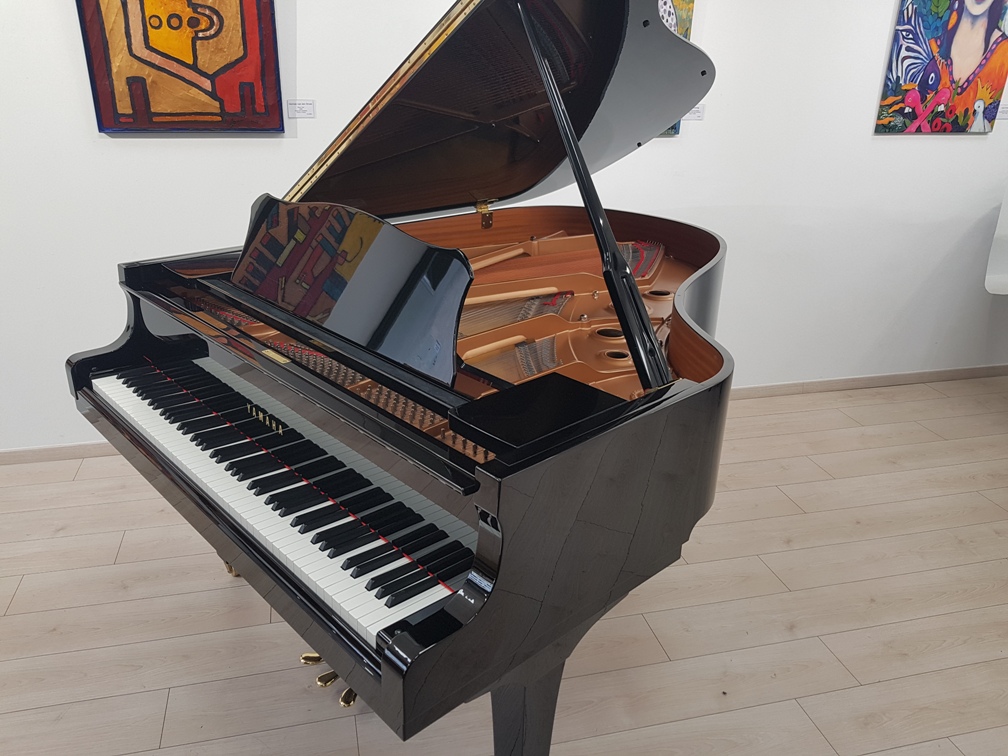Yamaha C3 Piano Zifreind