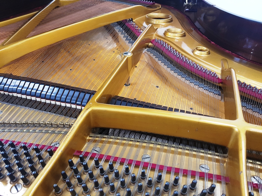Hofmann Flügel Piano Zifreind