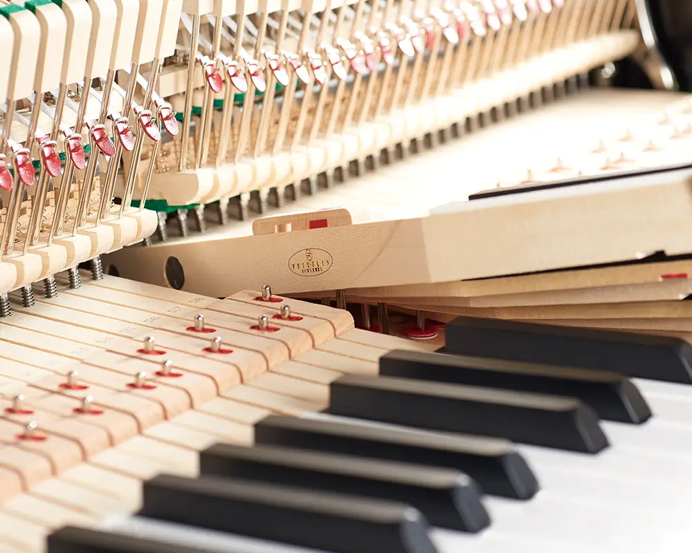 Fridolin Schimmel F116 Tradition