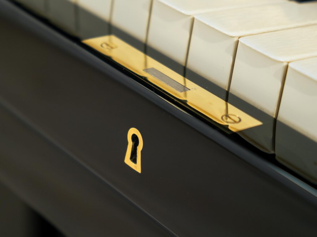 C. Bechstein Klavier