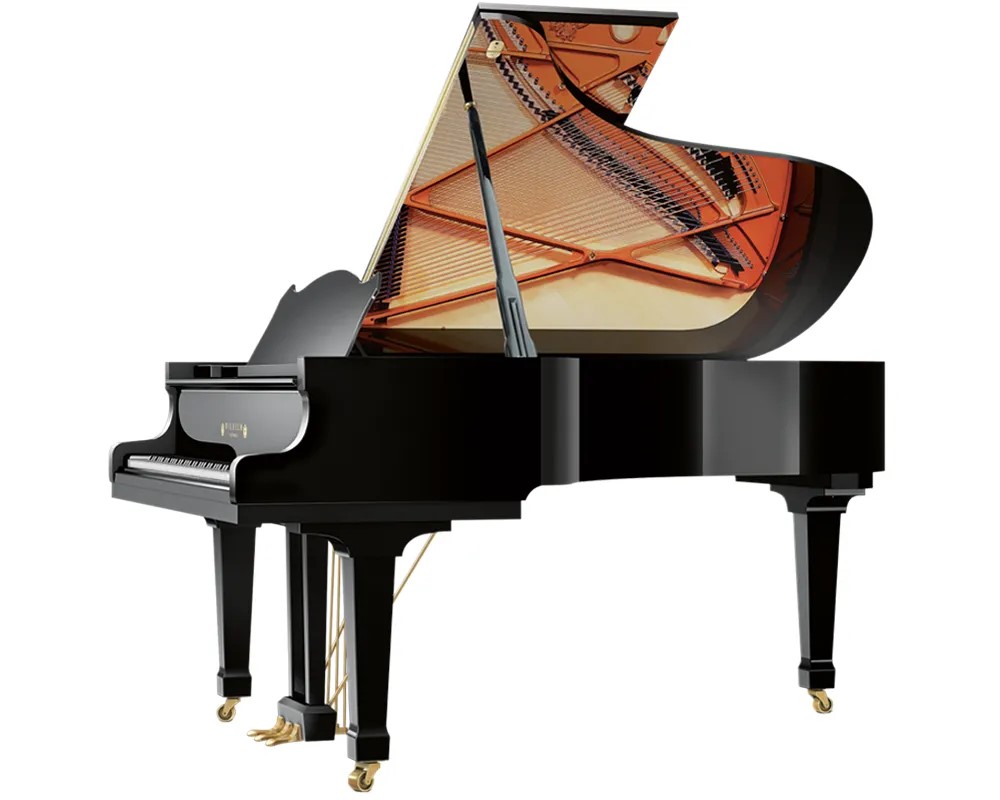 Wilhelm Schimmel W 206 Tradition Flügel schwarz poliert